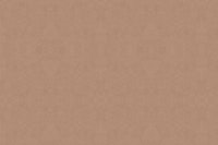 Earthy Hues Delight papiers peint