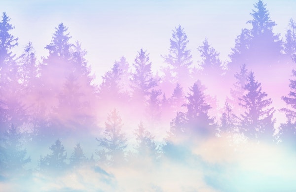 Pastel Forest Dream 5