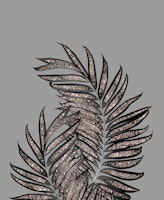 Palm Leaves with Glitter 2 papel de parede