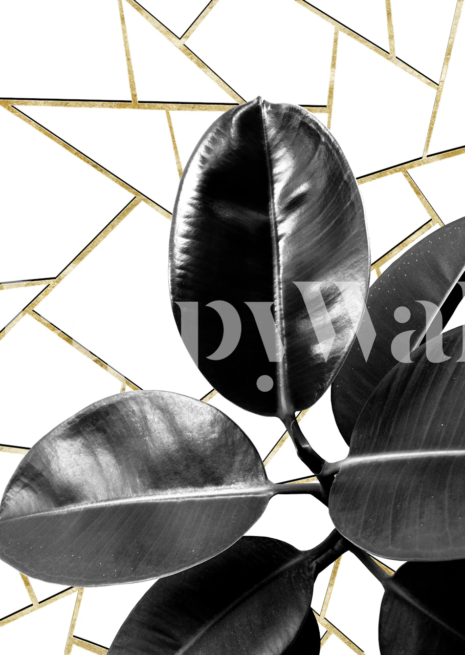 Ficus Elastica Geo 1 wallpaper displayed in a room