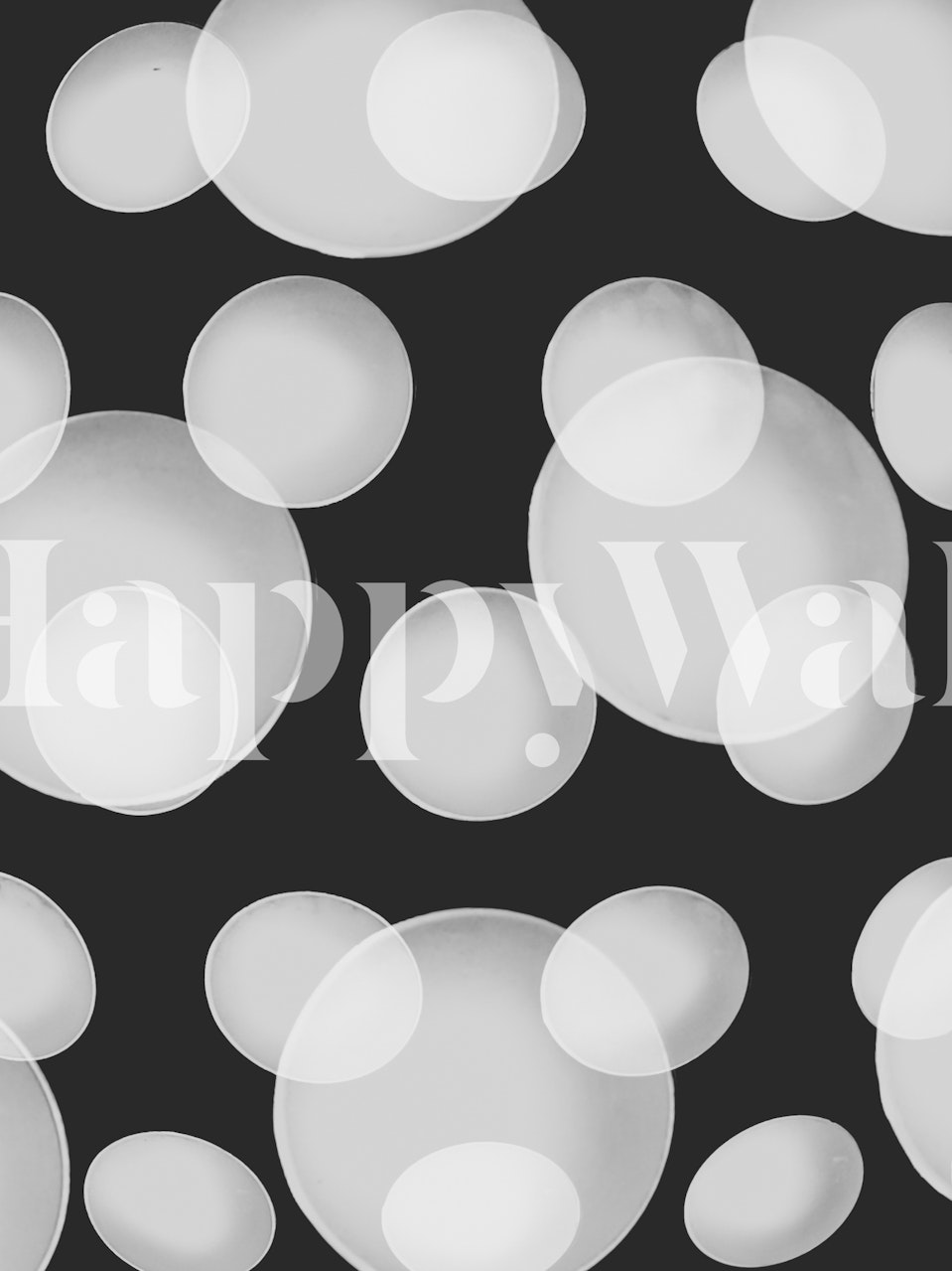 Abstract white circles on black background wall mural