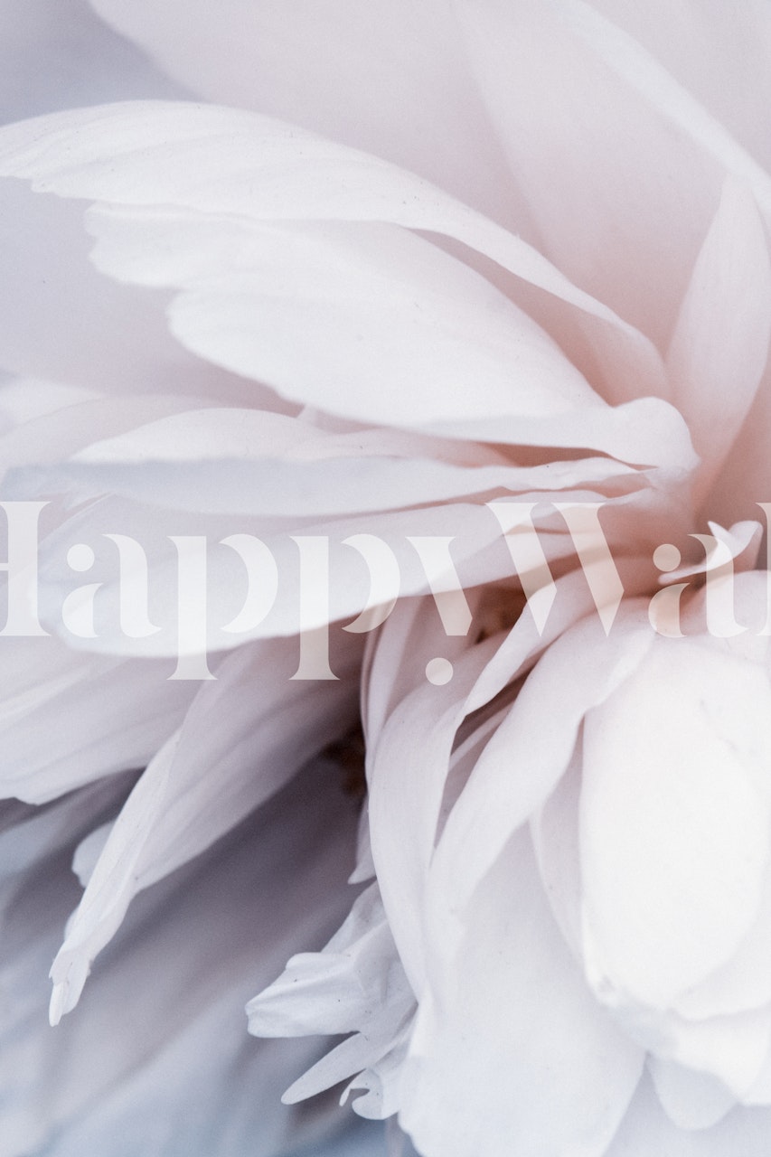 Floral petal design in soft pink tones wallpaper