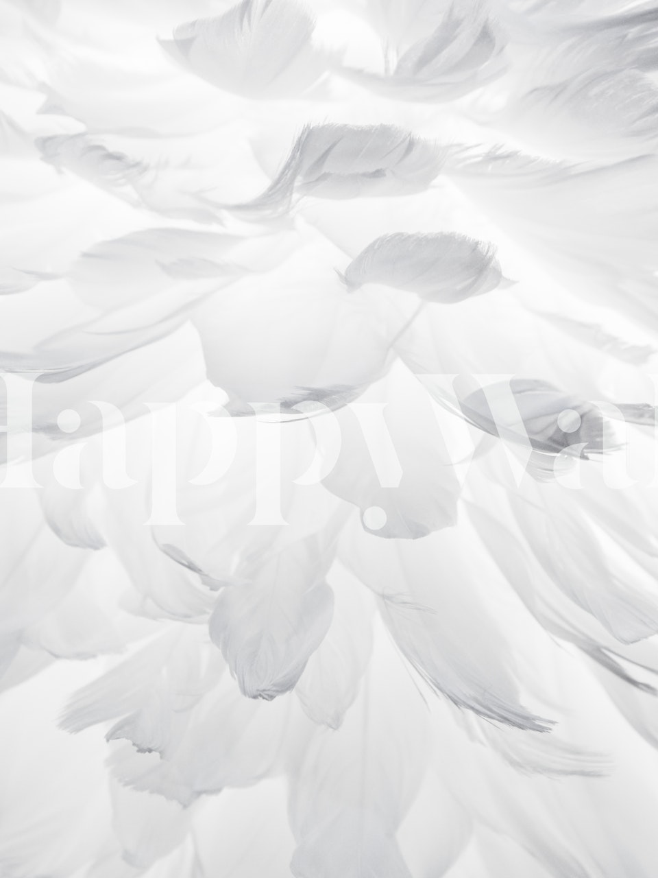 Feathers tapetdesign i ett rum