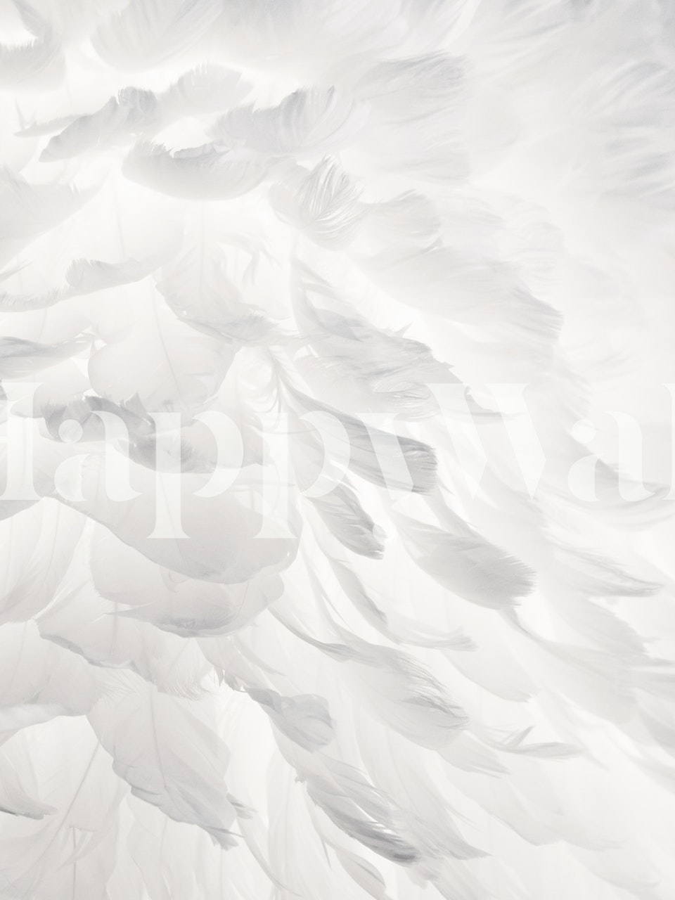 White feather wallpaper with soft textures and patterns, elegant