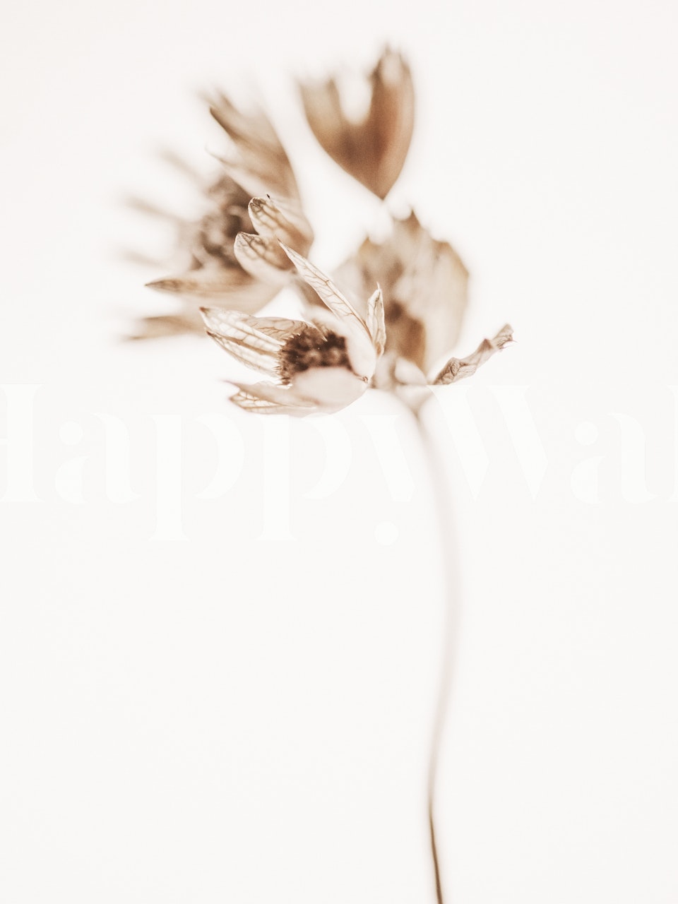 Elegant botanical wall mural with golden hues