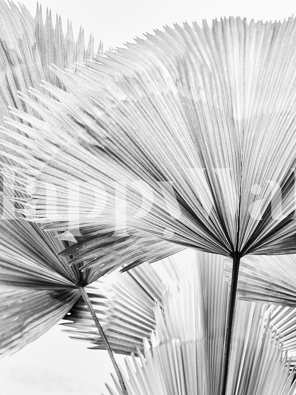 Leaf II behang in een kamersetting