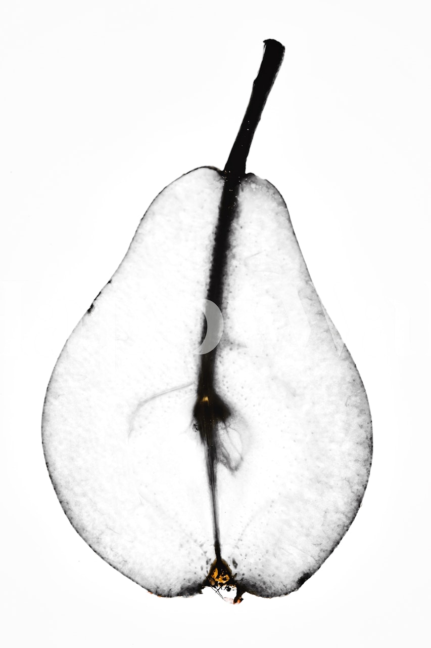 Minimalist pear illustration on white background wallpaper