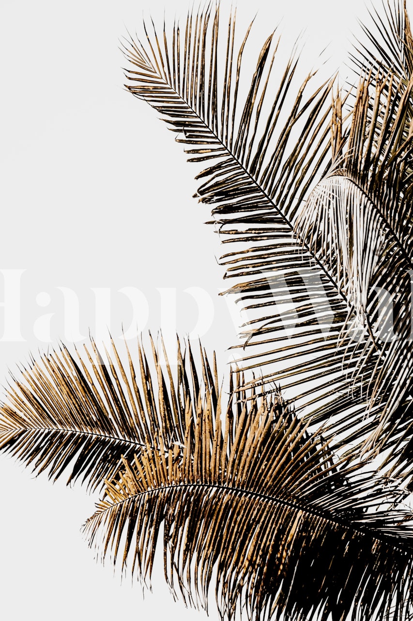 Californian Palm tapet i et rum