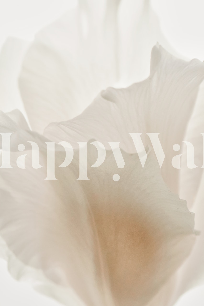 Delicate iris wallpaper displayed in a room