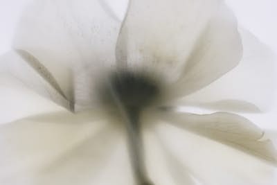 Τοιχογραφία