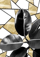 Ficus Elastica Geo 2 ταπετσαρία