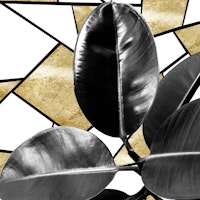 Ficus Elastica Geo 2 tapete