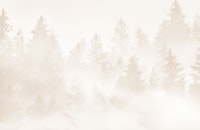 Warm Beige Forest Dream 1 ταπετσαρία