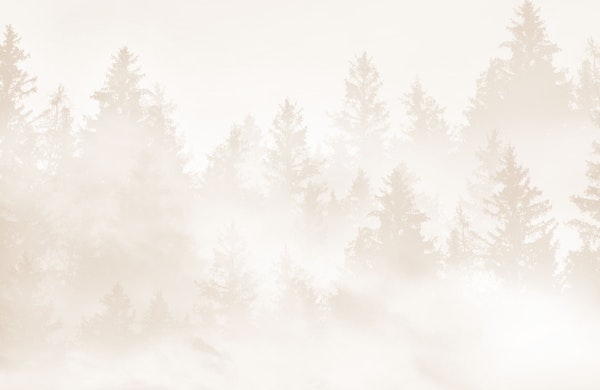 Warm Beige Forest Dream 1