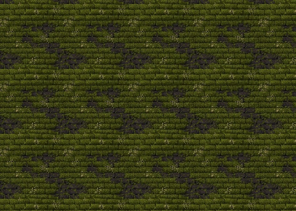 Moss on brick wall 2