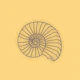 Saffron Yellow Sea Shell