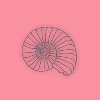 Rose Pink Wall Sea Shell papel pintado