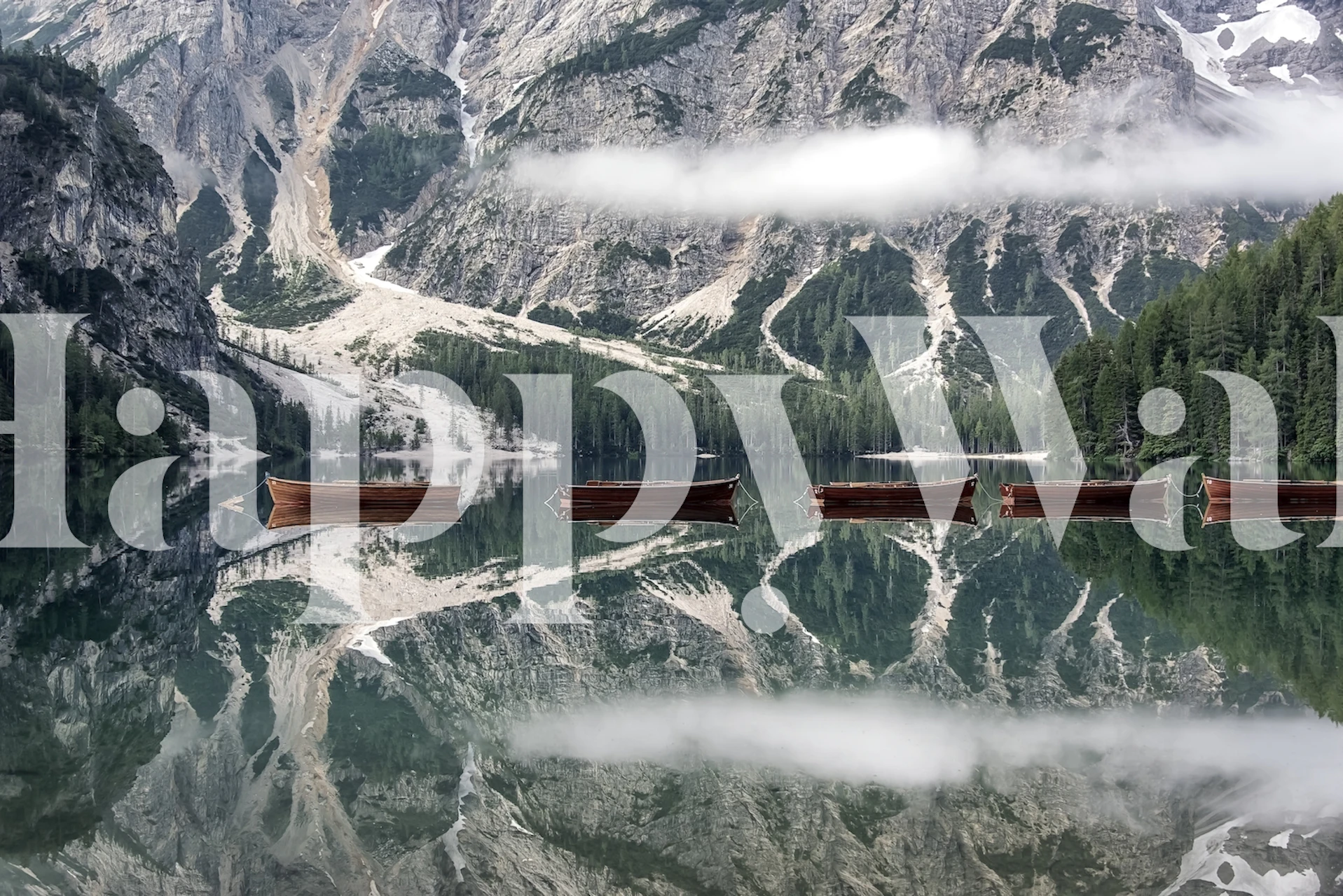 Canoe Queue wallpaper in a serene room