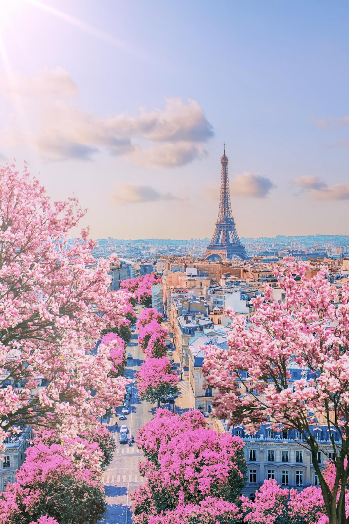 Buy Pink Paris Wallpaper Online - Happywall