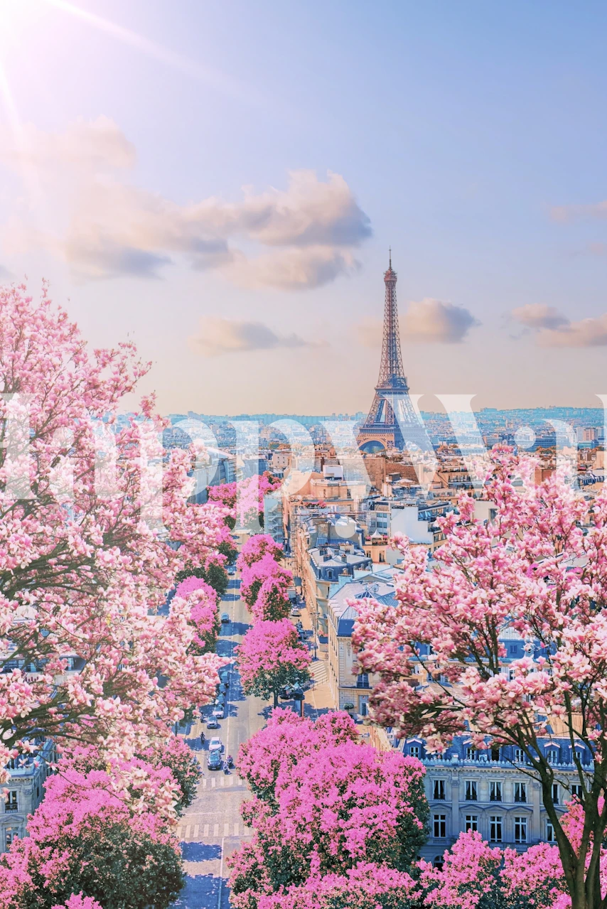 Fondo de pantalla Paris Sakura con flores de cerezo