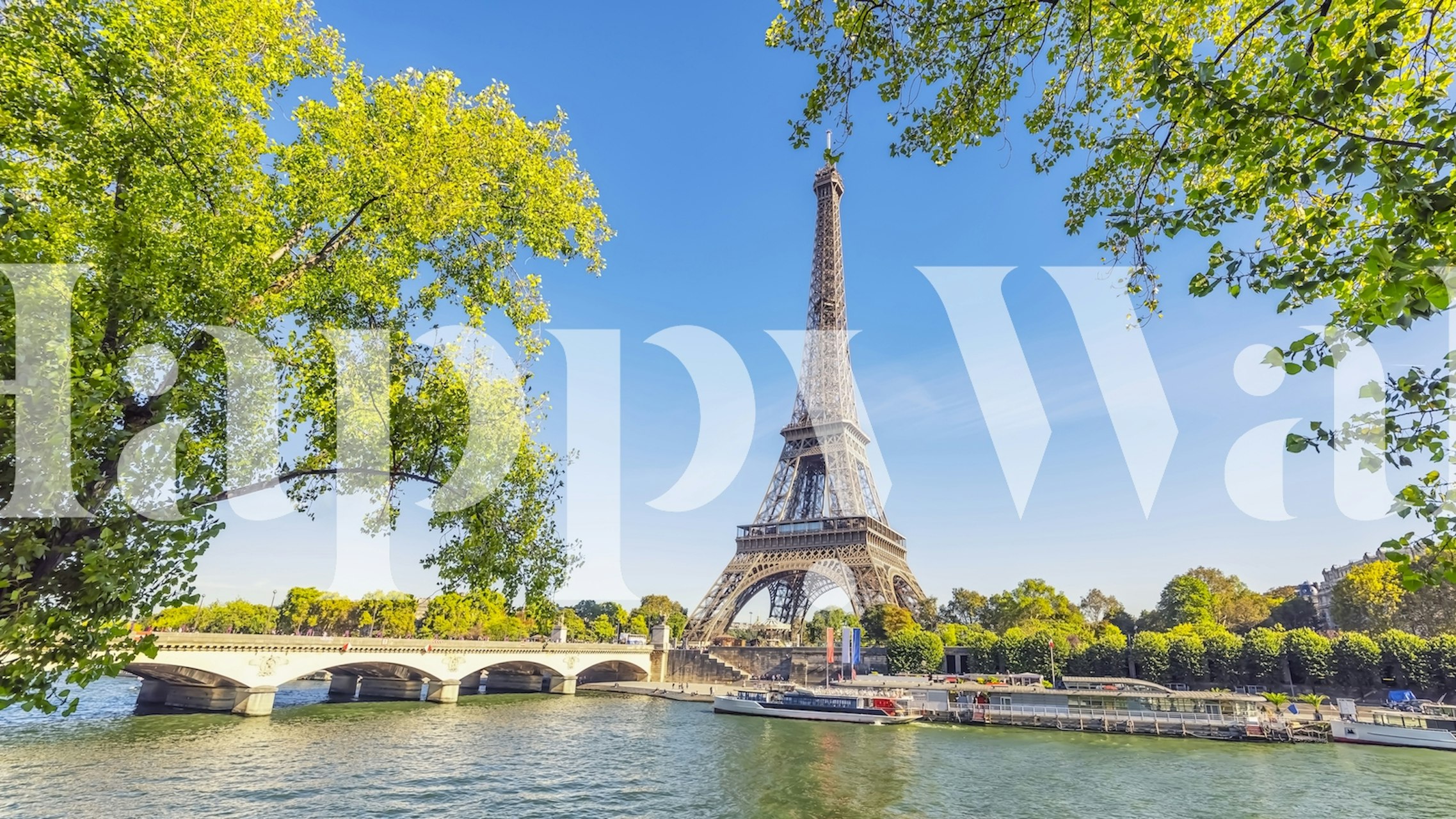 Summer in Paris wallpaper design in a room