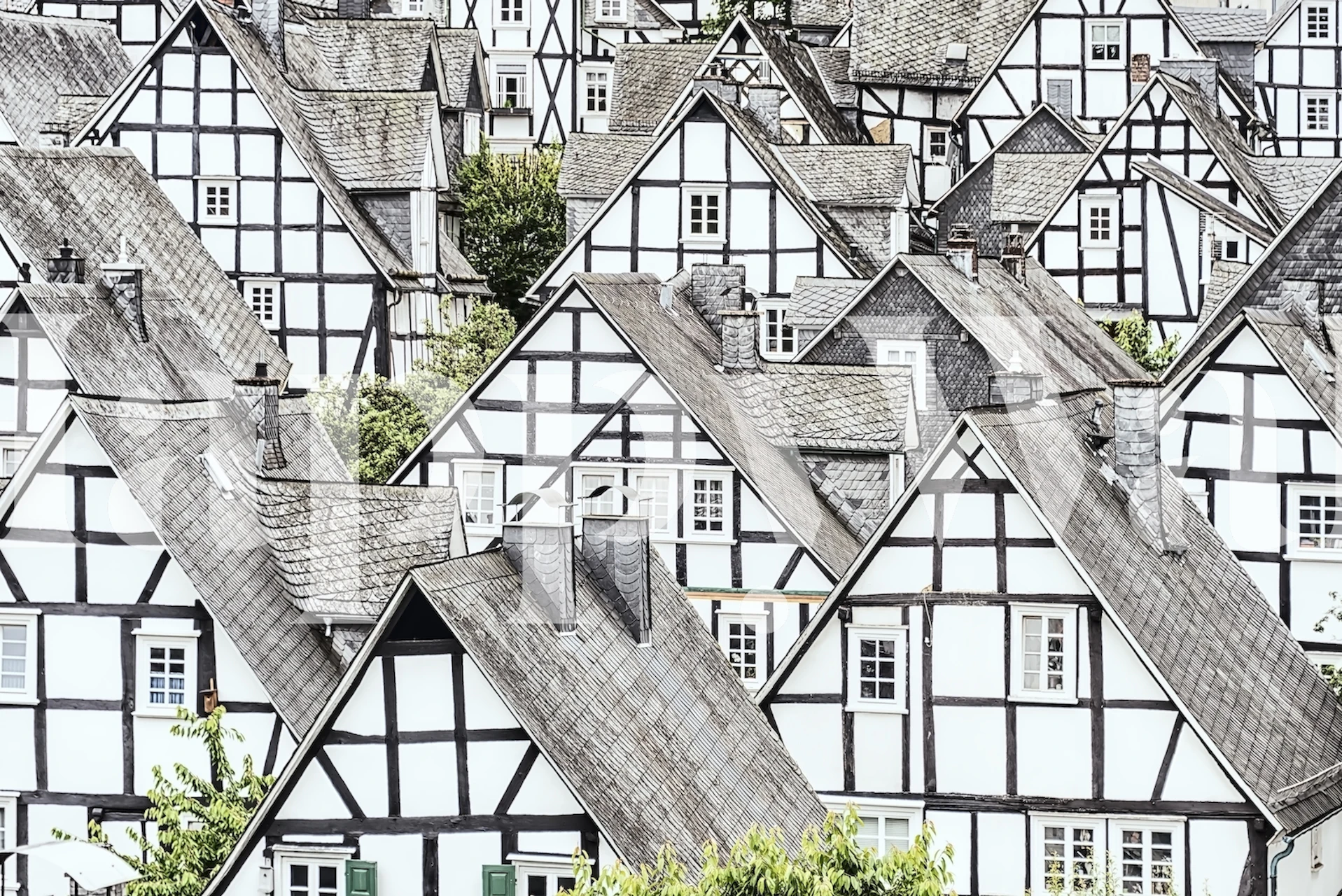Monochrome wall mural of half-timbered houses with intricate design details