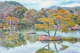 Garden In Japan
