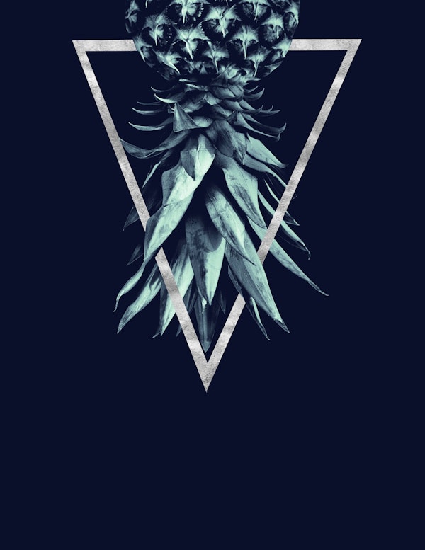 Pineapple Upside Down Geo 23