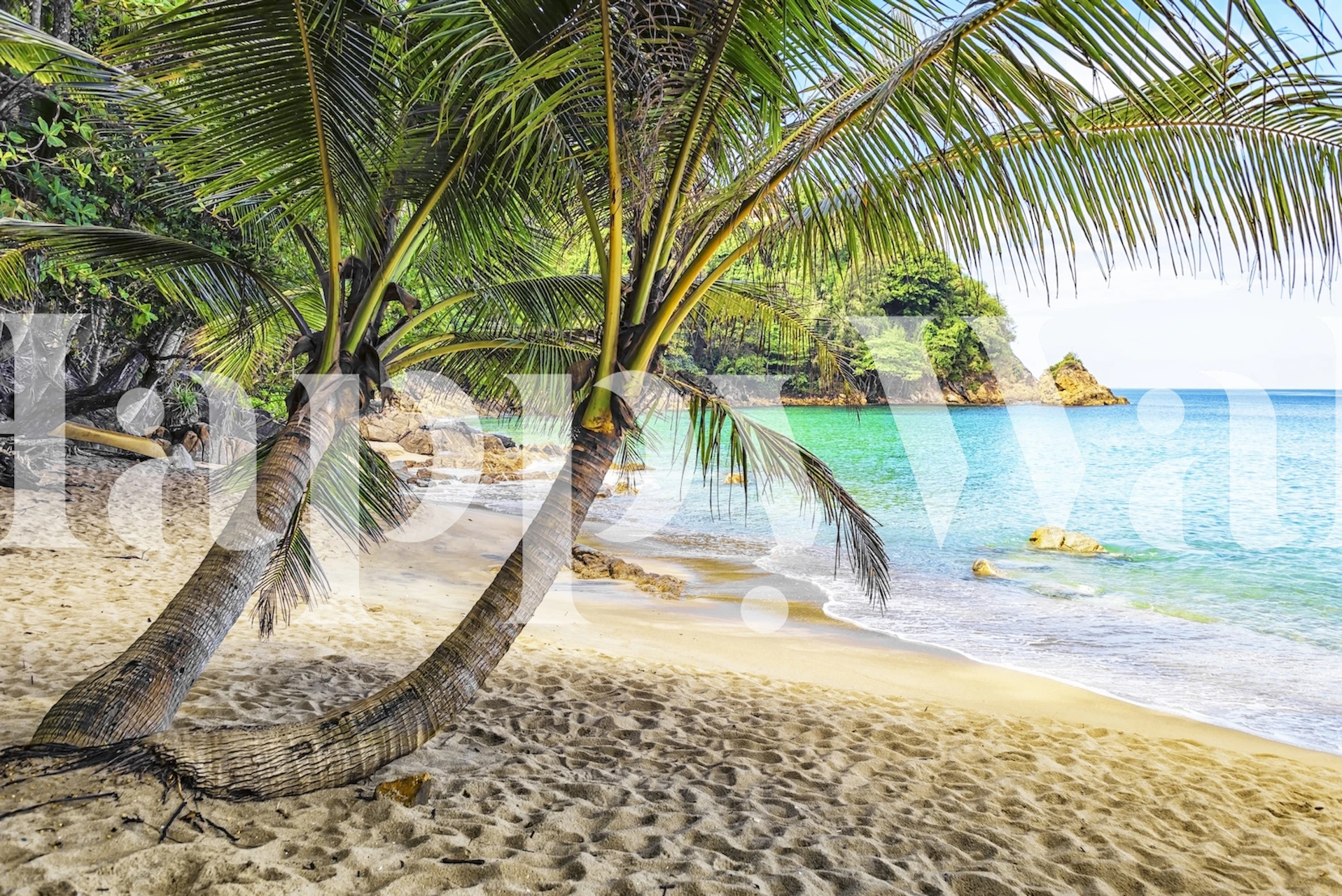 Banana Beach wallpaper in a room setting