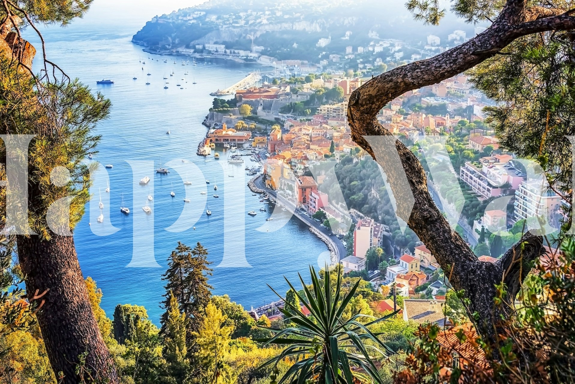 Villefranche wallpaper in a bright room