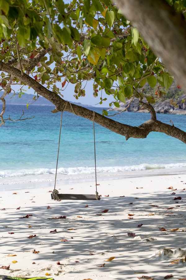 Swing In Paradise