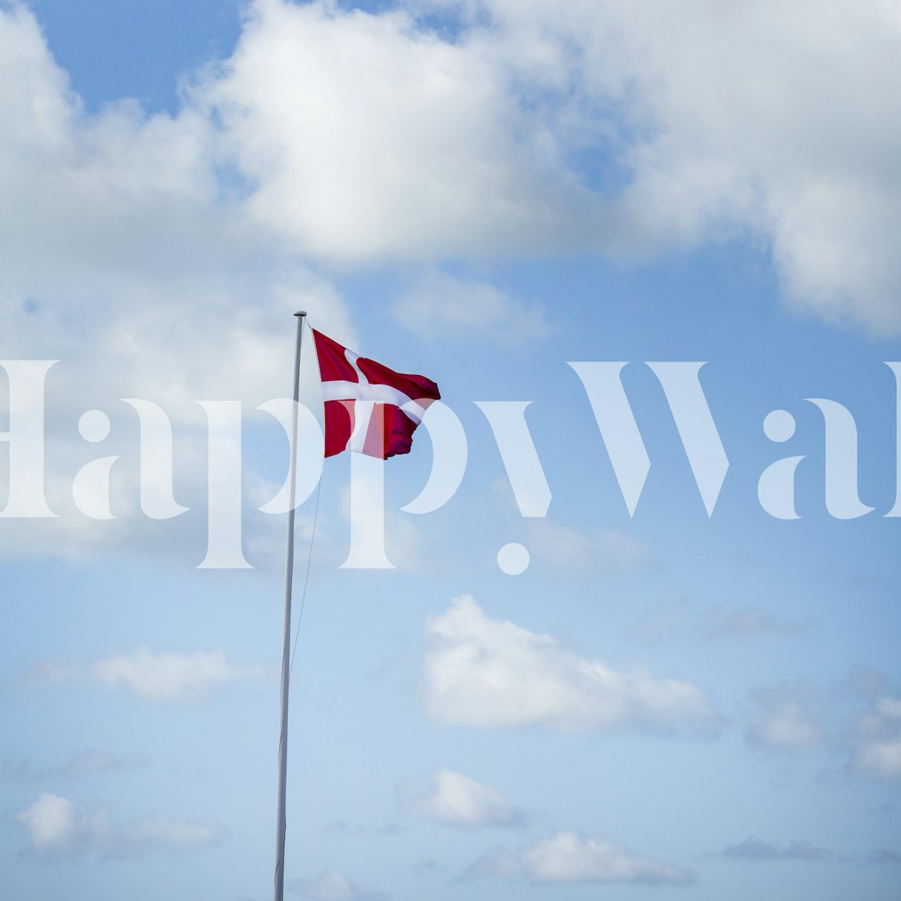 Danebrog Danish Flag wallpaper in a room