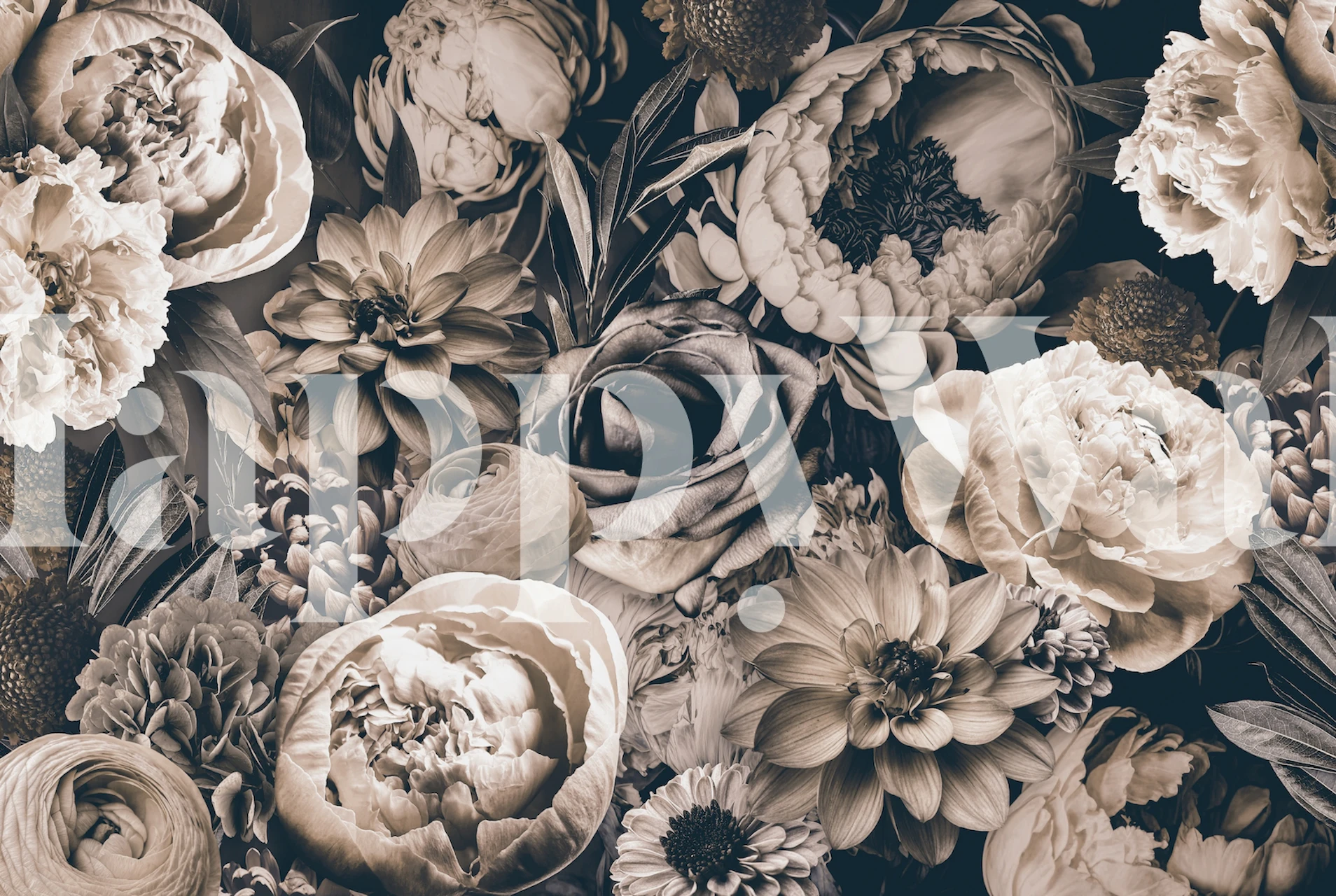 Floral wallpaper featuring detailed baroque style blooms in greige tones
