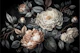 Moody Baroque Large Blooms
