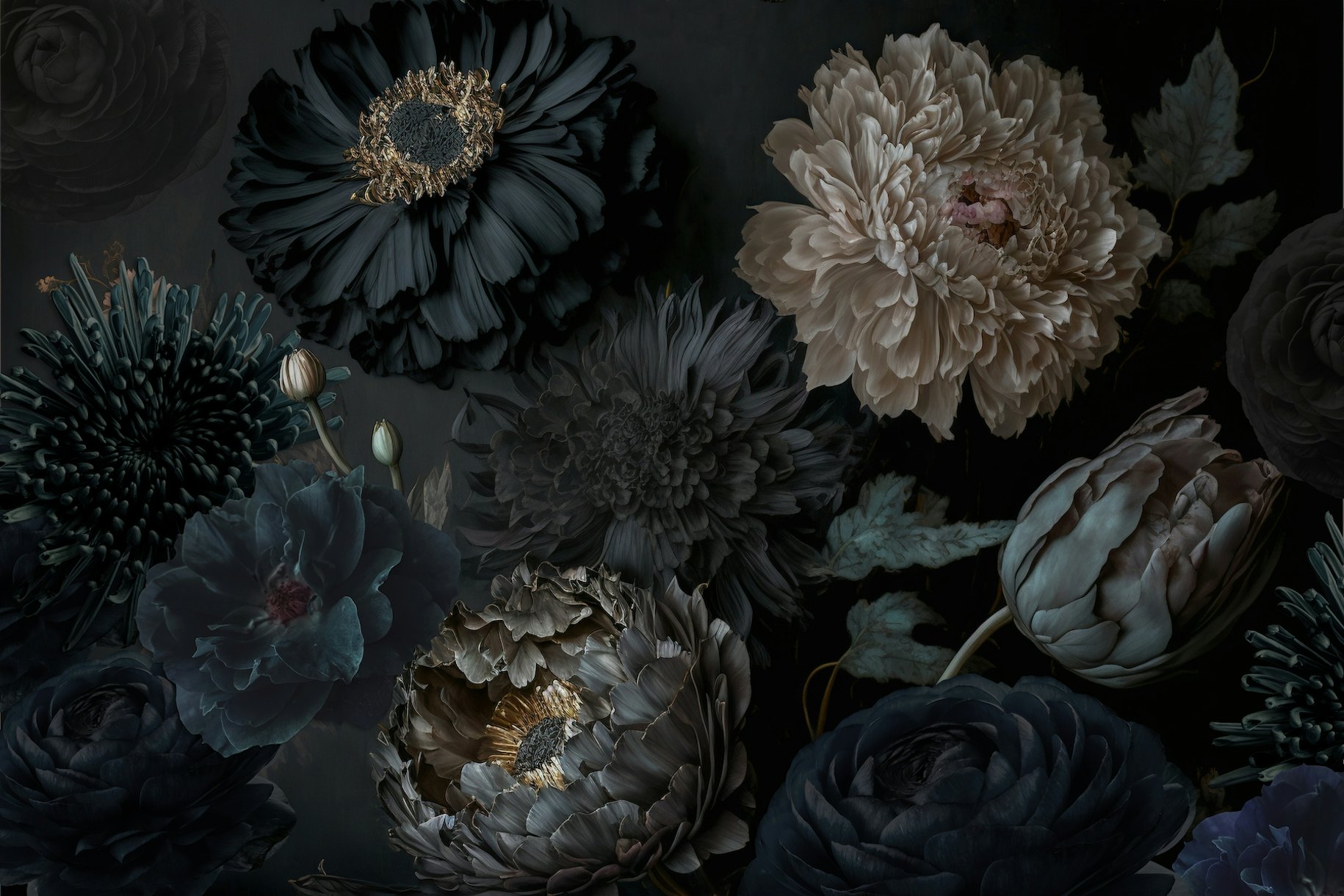 Dark Moody Flowers wallpaper - Happywall