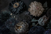 Dark Moody Flowers tapeta
