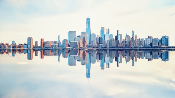 New York Reflection