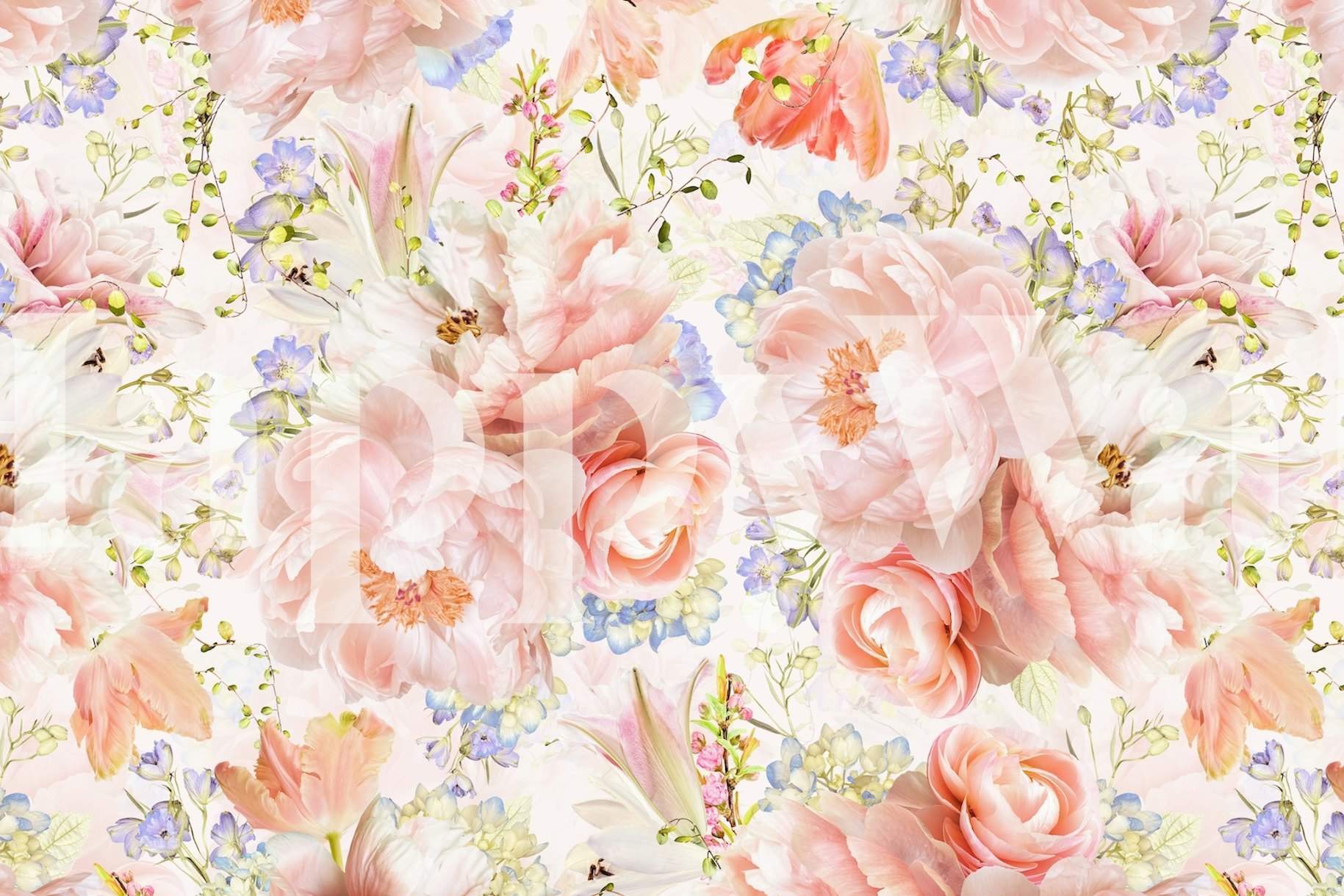 Peach Peonies Garden wallpaper - Happywall