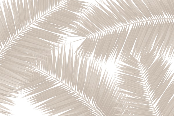 Soft Beige Palm Leaves 1