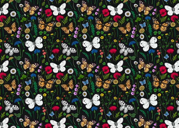 Wild flowers and butterflies