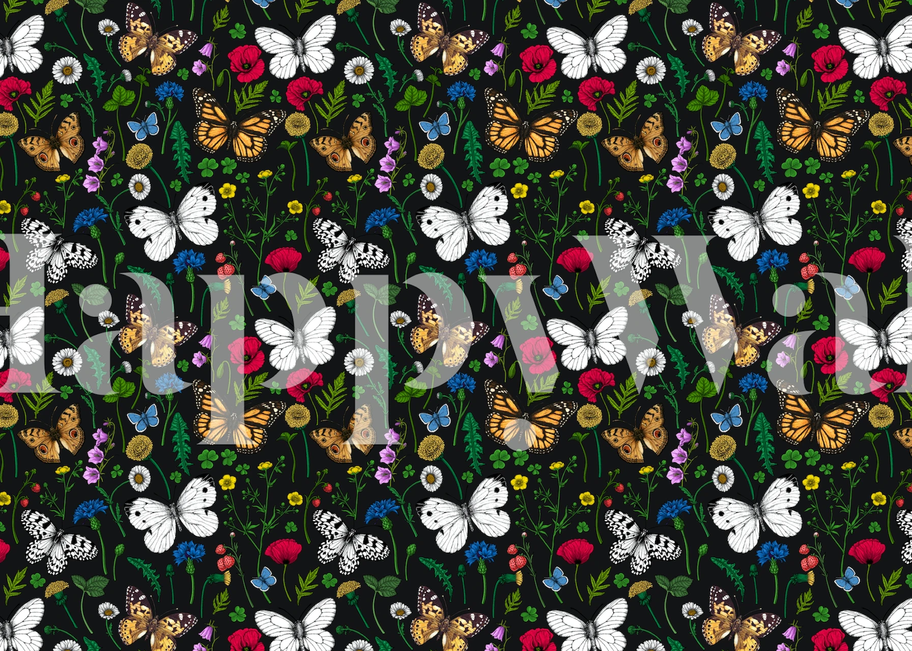 Colorful wildflowers and butterflies on a black background wallpaper