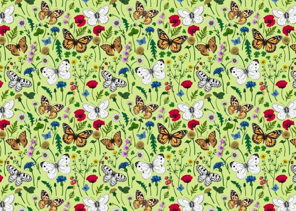 Wild flowers and butterflies 4