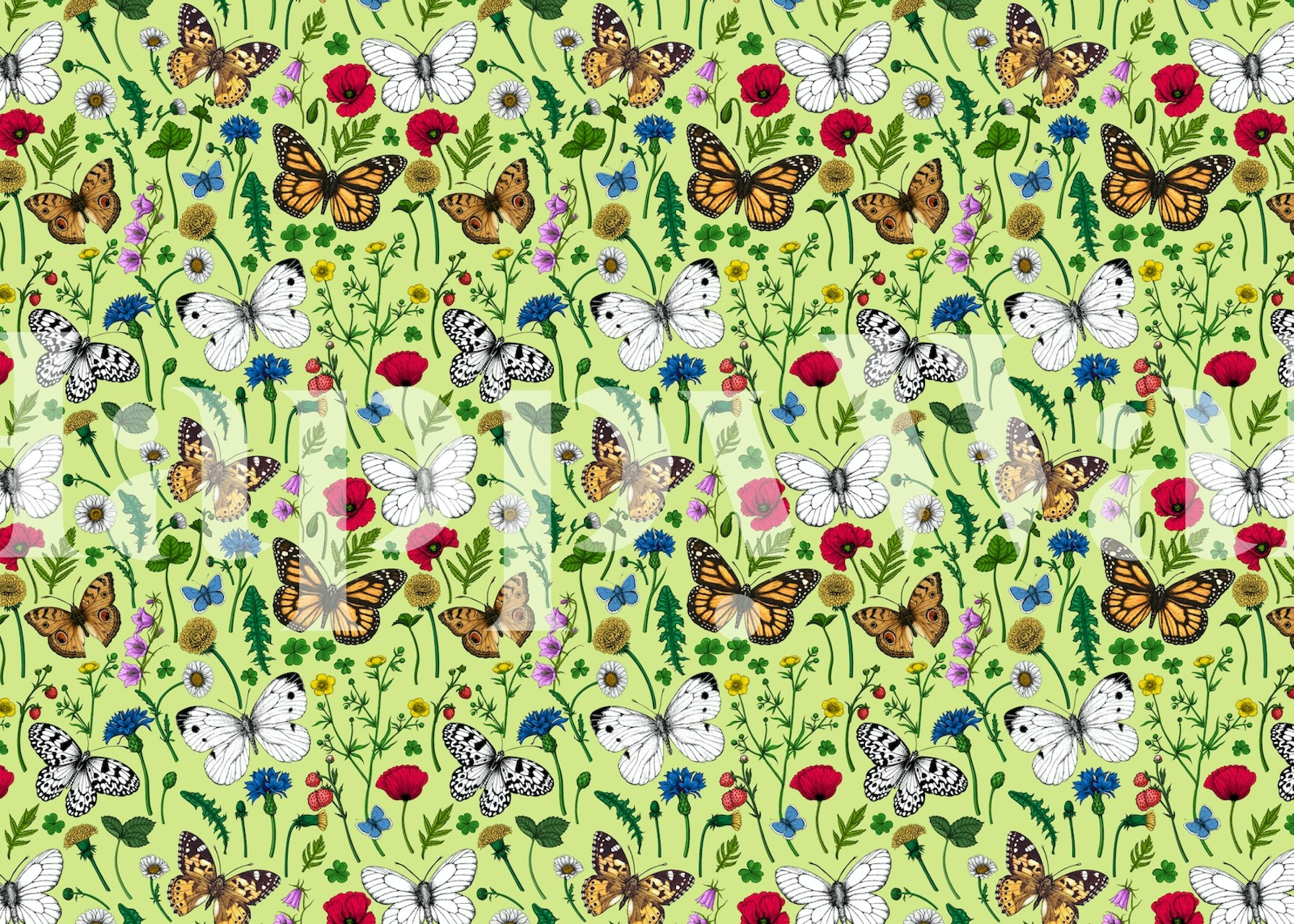 Vibrant wallpaper with flowers and butterflies