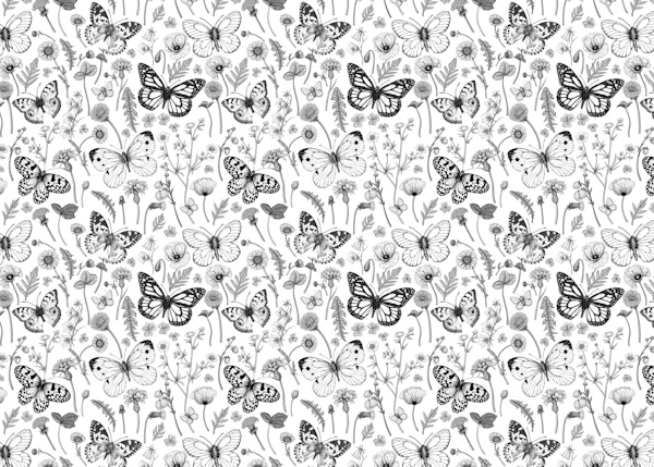 Wild flowers and butterflies 5