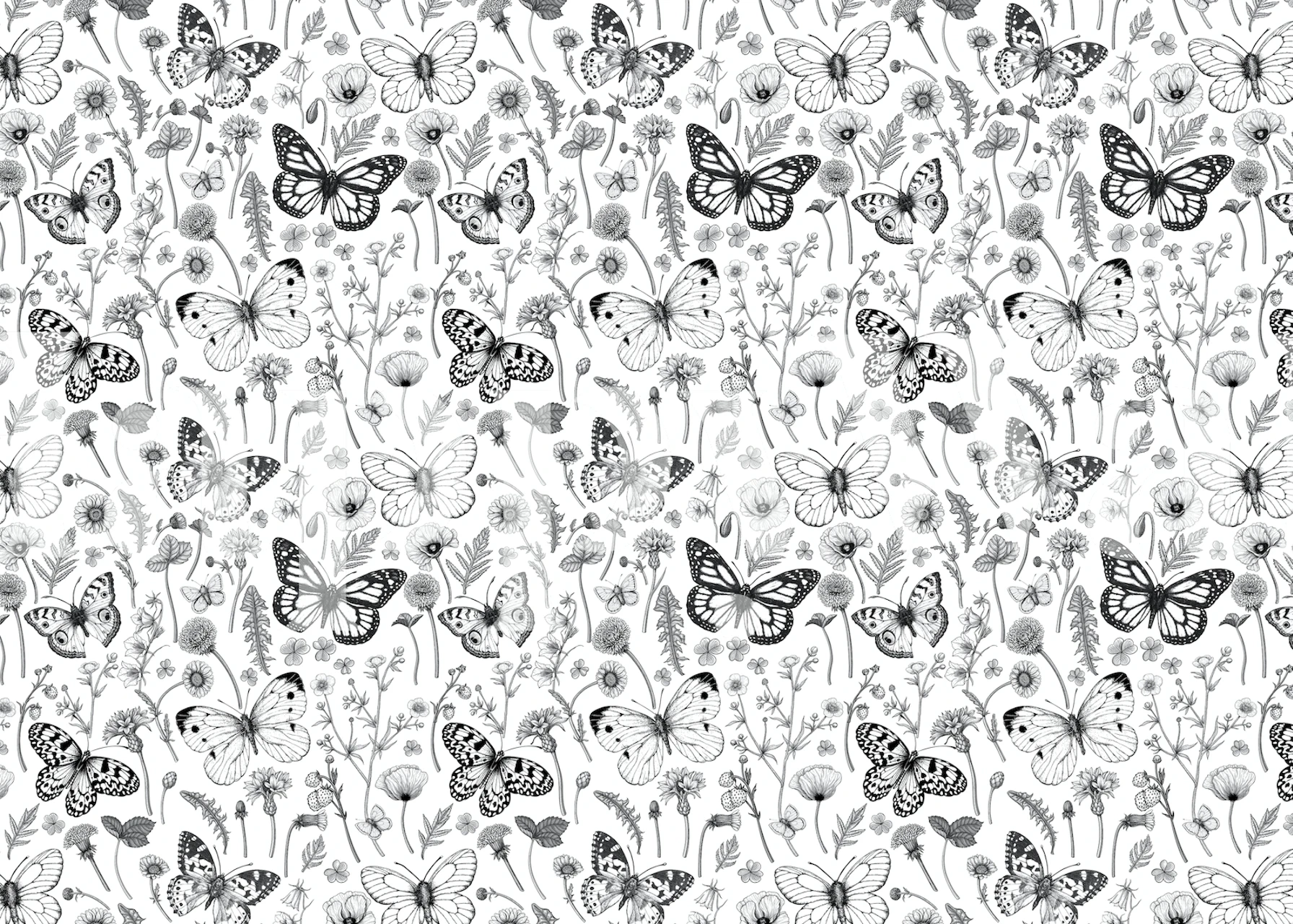 Czarno-biały wzór dzikich kwiatów i motyli na fototapetę