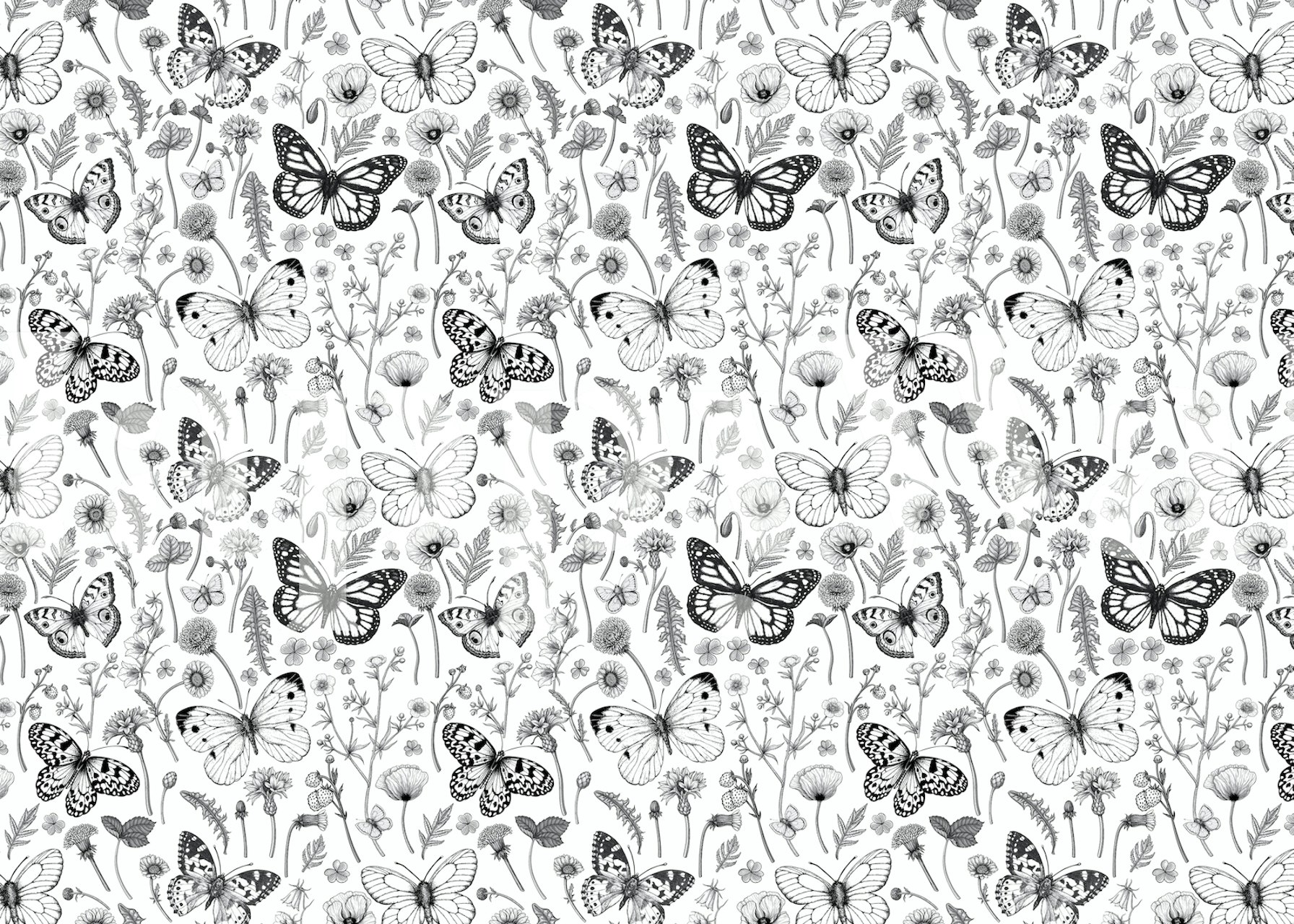 Black and white floral pattern with butterflies wallpaper