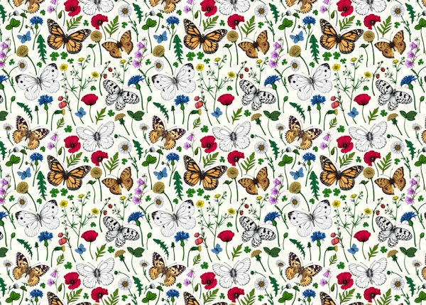 Wild flowers and butterflies 6