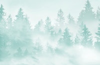 Soft Teal Green Forest Dream 1 ταπετσαρία