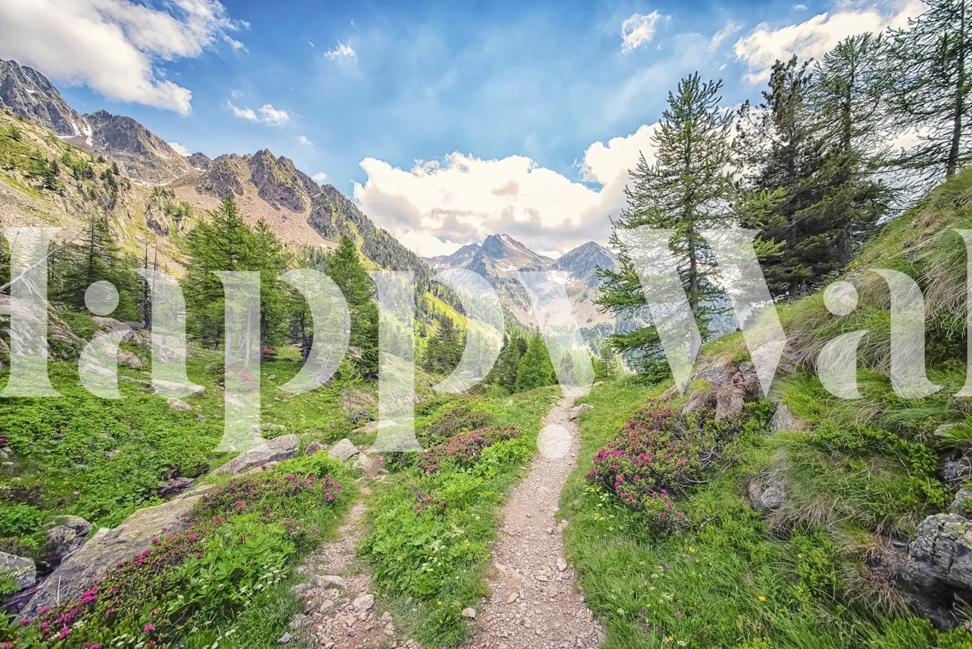 Carta da parati Mountain path in una stanza