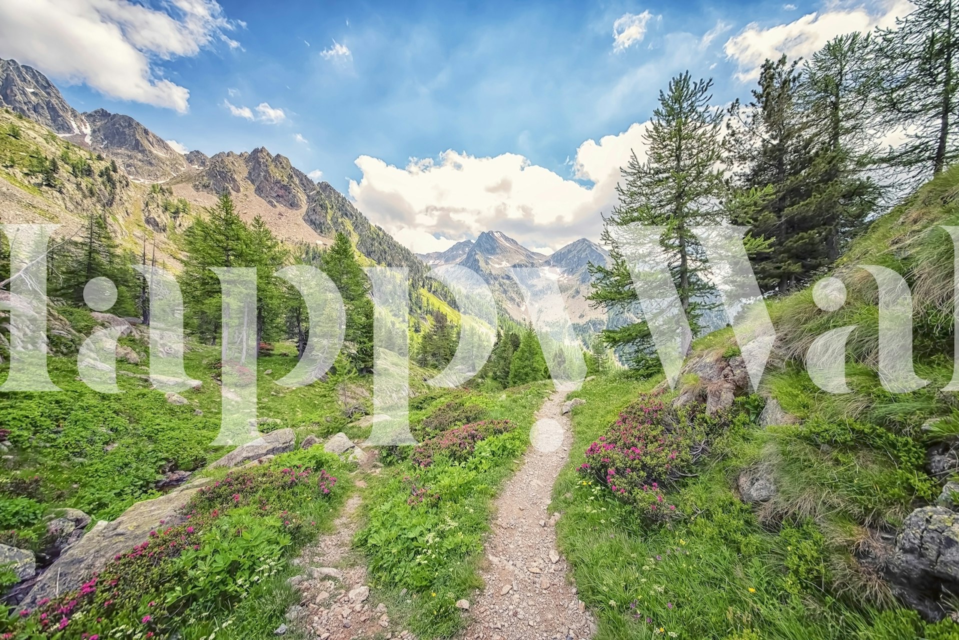 Tapeta Mountain path u sobi